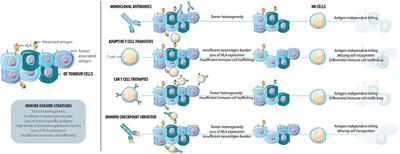 Naturally Killing the Silent Killer: NK Cell-Based Immunotherapy for Ovarian Cancer